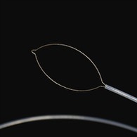 Type sa Jaw Type ang mga langyaw nga forceps sa lawas